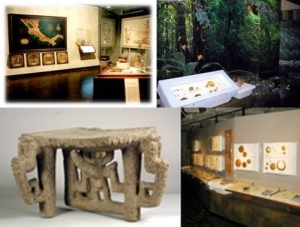 Museo de Oro Banco Central (Gold Museum)